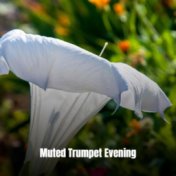 Muted Trumpet Evening