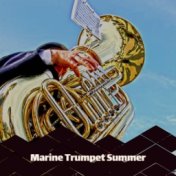 Marine Trumpet Summer