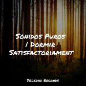 Sonidos Puros | Dormir Satisfactoriamente