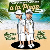 A La Playa (Remix)