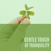 Gentle Touch of Tranquility (Relaxing Celtic New Age Melodies, Soothing Mind Session, Relaxation & Stress Relief)