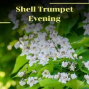 Shell Trumpet Evening