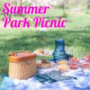 Summer Park Picnic