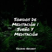 Sonidos De Meditación | Sueño Y Meditación