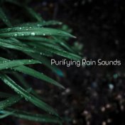 Purifying Rain Sounds – Natural BGM for Relaxation, Study, Meditation or Sleep