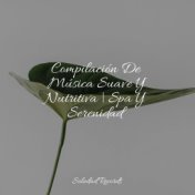 Compilación De Música Suave Y Nutritiva | Spa Y Serenidad