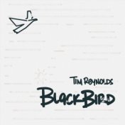 Blackbird