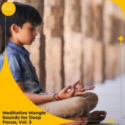 Meditative Mangle Sounds for Deep Focus, Vol. 3