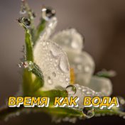 ВРЕМЯ КАК ВОДА