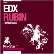 Rubin (DBN Remix)