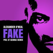 Fake (Phil St George Remix)