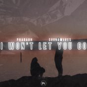 I Won't Let You Go