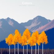 Colors