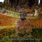 56 Free Your Mind Free Your Soul