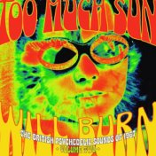Too Much Sun Will Burn: The British Psychedelic Sounds Of 1967, Vol. 2