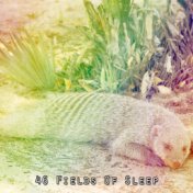46 Fields Of Sleep