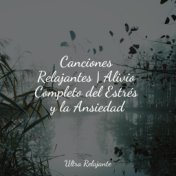 Canciones Relajantes | Alivio Completo del Estrés y la Ansiedad