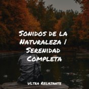 Sonidos de la Naturaleza | Serenidad Completa