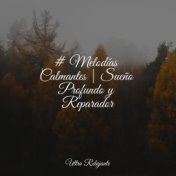 # Melodías Calmantes | Sueño Profundo y Reparador