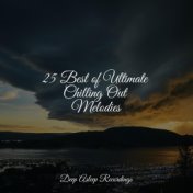 25 Best of Ultimate Chilling Out Melodies