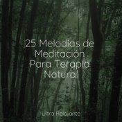 25 Melodías de Meditación Para Terapia Natural