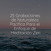 25 Grabaciones de Naturaleza Pacífica Para el Enfoque de Meditación Zen