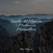 Sonidos del Monzón | Meditación Maravillosa