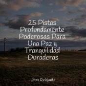 25 Pistas Profundamente Poderosas Para Una Paz y Tranquilidad Duraderas