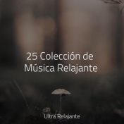 25 Colección de Música Relajante