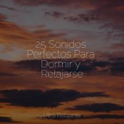 25 Sonidos Perfectos Para Dormir y Relajarse