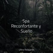 Spa Reconfortante y Sueño