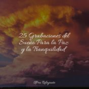 25 Grabaciones del Sueño Para la Paz y la Tranquilidad