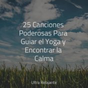 25 Canciones Poderosas Para Guiar el Yoga y Encontrar la Calma