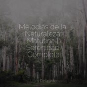 Melodías de la Naturaleza Matutina | Serenidad Completa