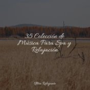 35 Colección de Música Para Spa y Relajación