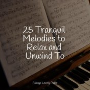 25 Tranquil Melodies to Relax and Unwind To