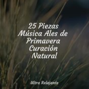 25 Piezas Música Ales de Primavera Curación Natural