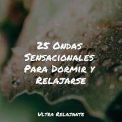 25 Ondas Sensacionales Para Dormir y Relajarse