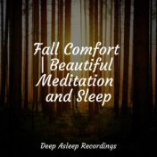 Fall Comfort | Beautiful Meditation and Sleep