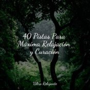 40 Pistas Para Máxima Relajación y Curación