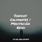 Sonidos Calmantes | Meditación Reiki