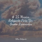 # 25 Música Relajante Para Un Sueño Reparador