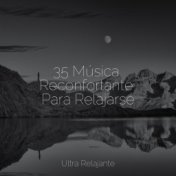 35 Música Reconfortante Para Relajarse