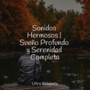 Sonidos Hermosos | Sueño Profundo y Serenidad Completa