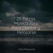 25 Piezas Música Ales Para Dormir y Relajarse