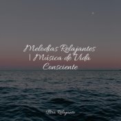 Melodías Relajantes | Música de Vida Consciente