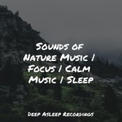 Sounds of Nature Music | Focus | Calm Music | Sleep