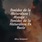 Sonidos de la Naturaleza | Masaje - Sonidos de la Naturaleza En Bucle