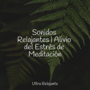 Sonidos Relajantes | Alivio del Estrés de Meditación