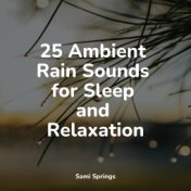 25 Ambient Rain Sounds for Sleep and Relaxation